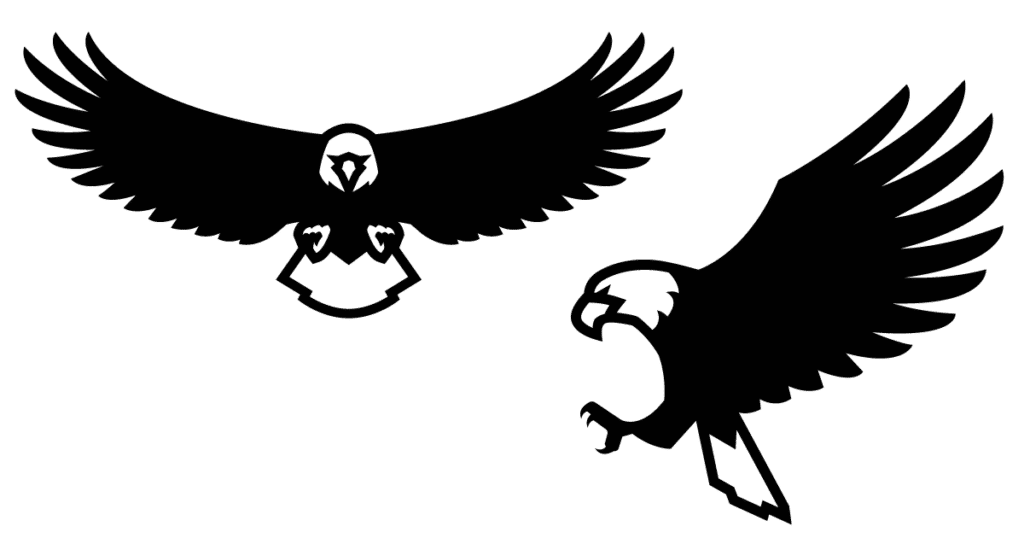 Eagle drawings of bald eagle attacking or landing