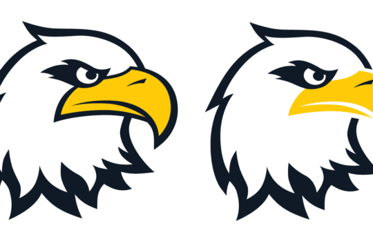 Eagle drawings of bald eagle head